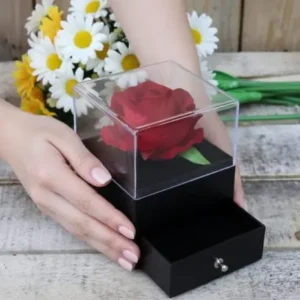 Zarif Dokunuş: Şeffaf Fanuslu ve Çekmeceli Gül Kutusu