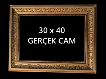 Pro-Series Gold: 30x40 cm Yoğun İşlemeli Gerçek Camlı Proje Çerçevesi