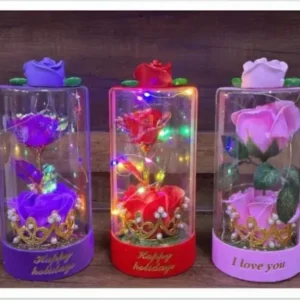 Cam Fanus Işıklı Büyük Boy